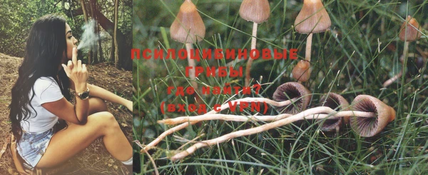 марихуана Медногорск
