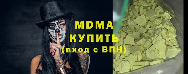 индика Мегион
