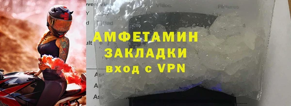 индика Мегион