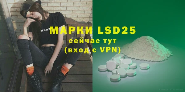 индика Мегион