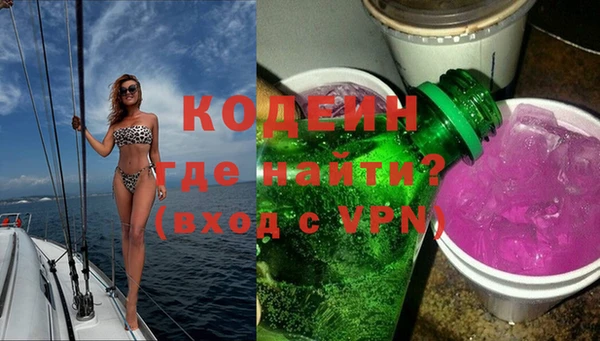 индика Мегион