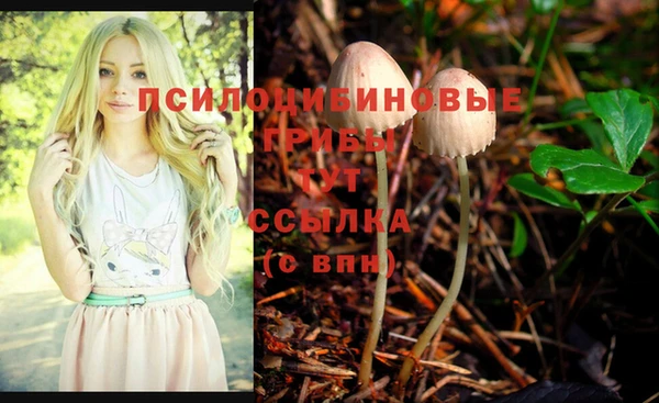 индика Мегион