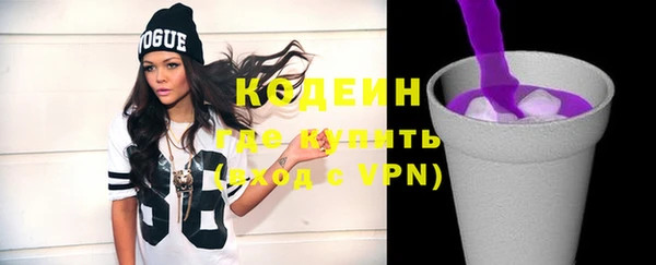 индика Мегион