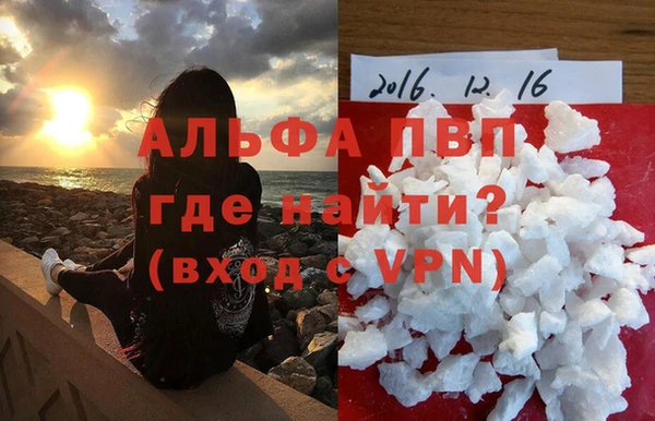 индика Мегион