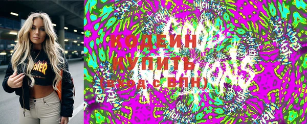 индика Мегион