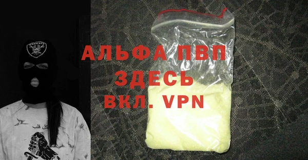 индика Мегион