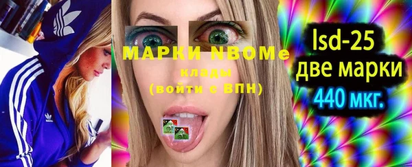 индика Мегион