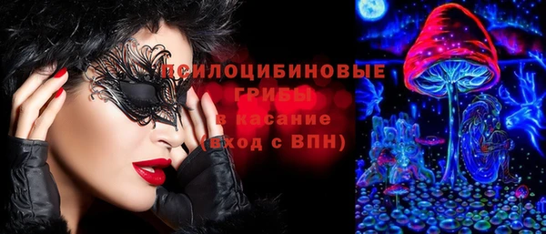 индика Мегион