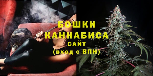 индика Мегион