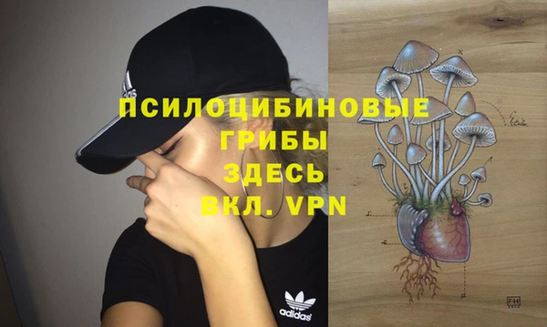 индика Мегион
