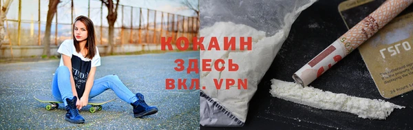 индика Мегион