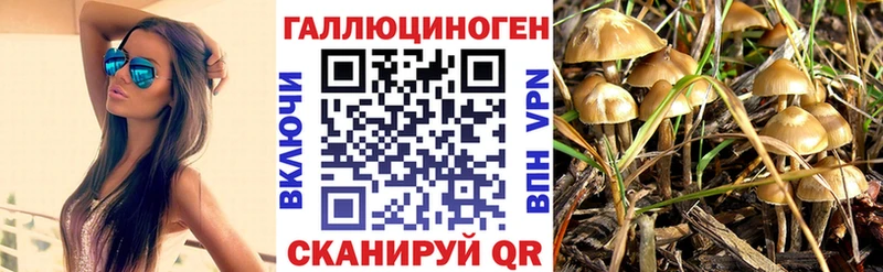 Галлюциногенные грибы ЛСД Купить закладки Долинск